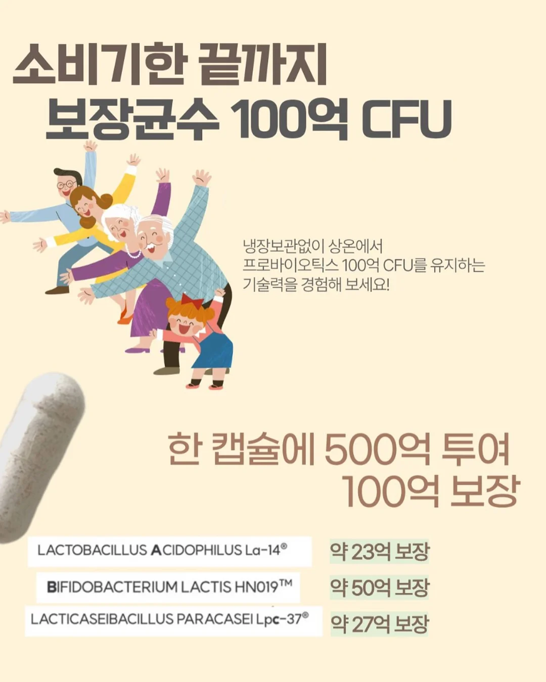 스프링 패밀리 세트 5