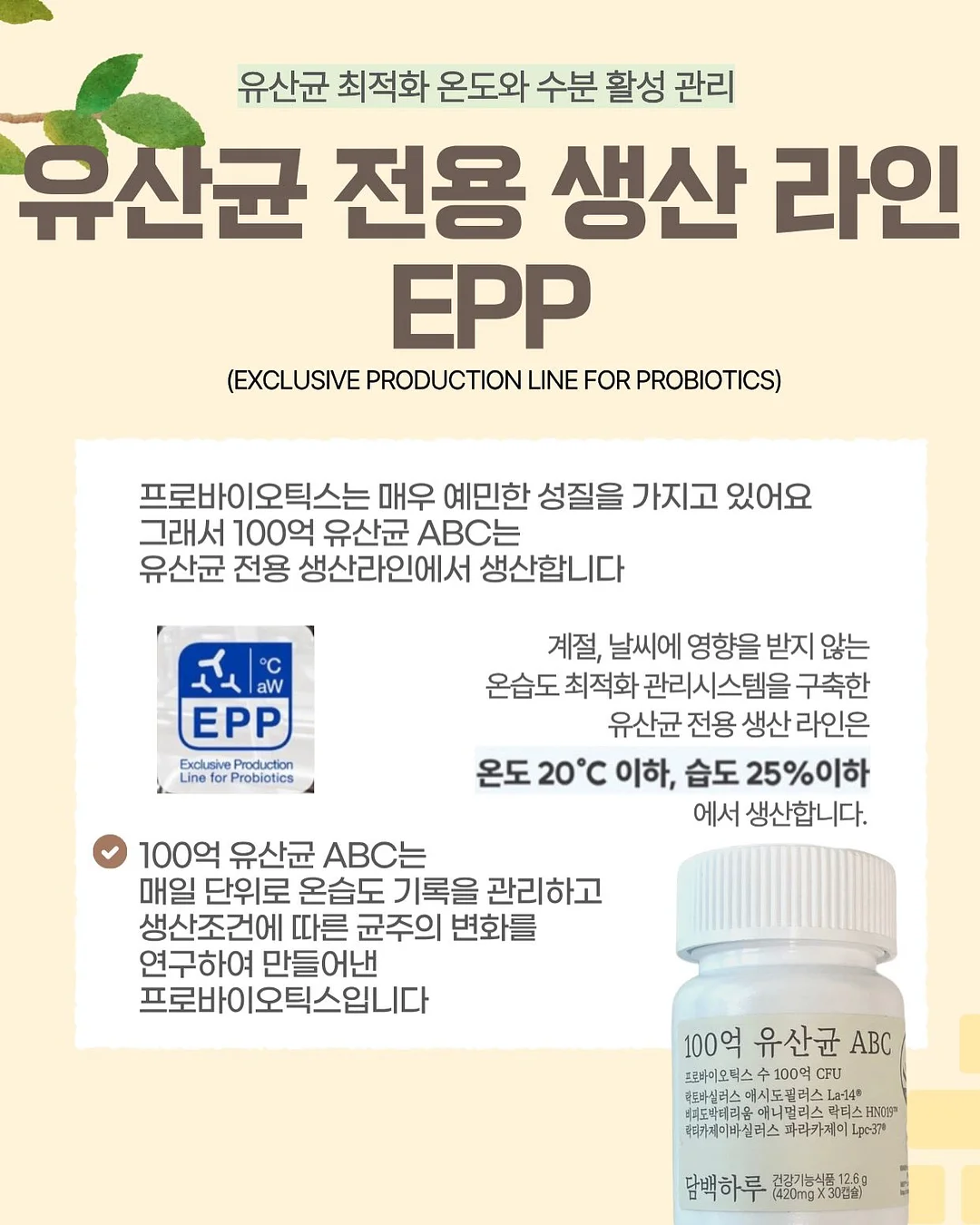 스프링 패밀리 세트 7