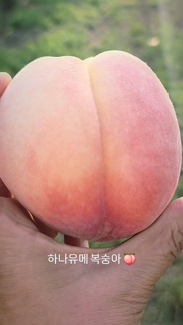 실리콘 필통 1+1