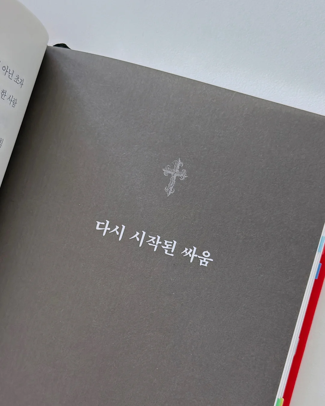 갑오징어포 2