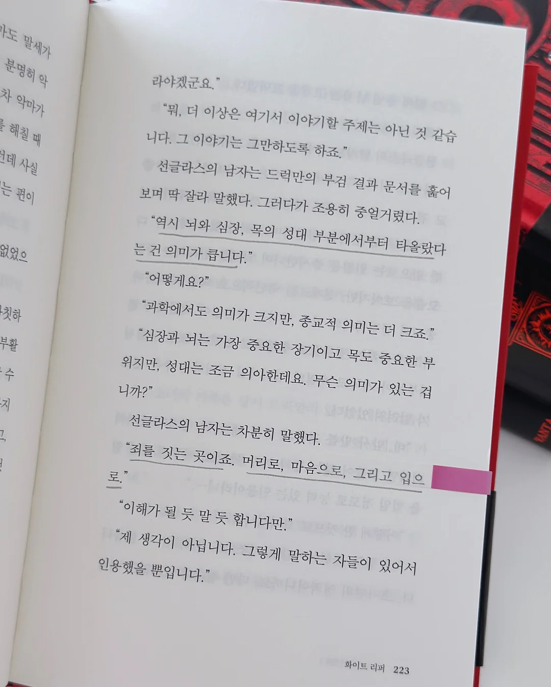 갑오징어포 3