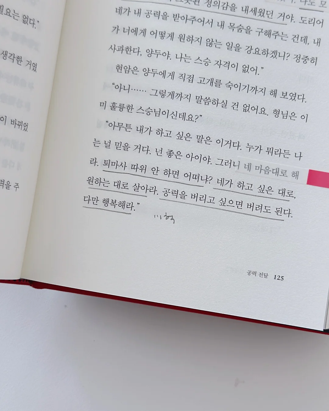 갑오징어포 4