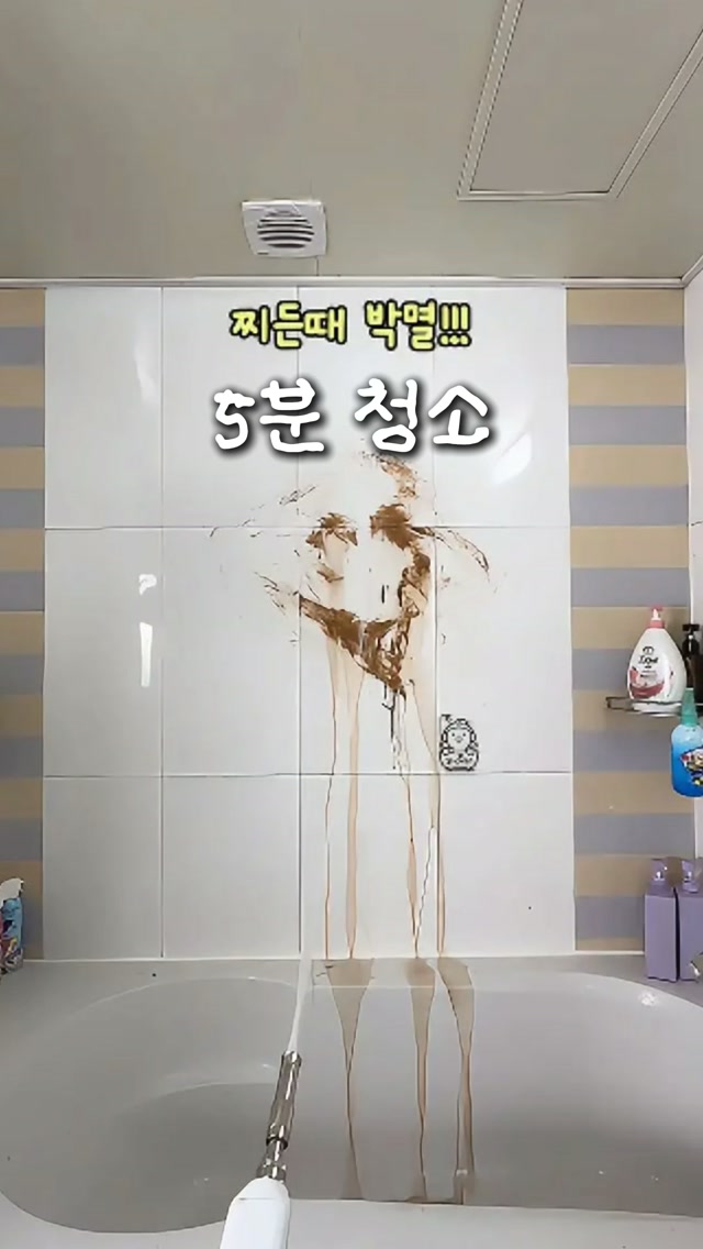 마틸다앤리 여름 신상