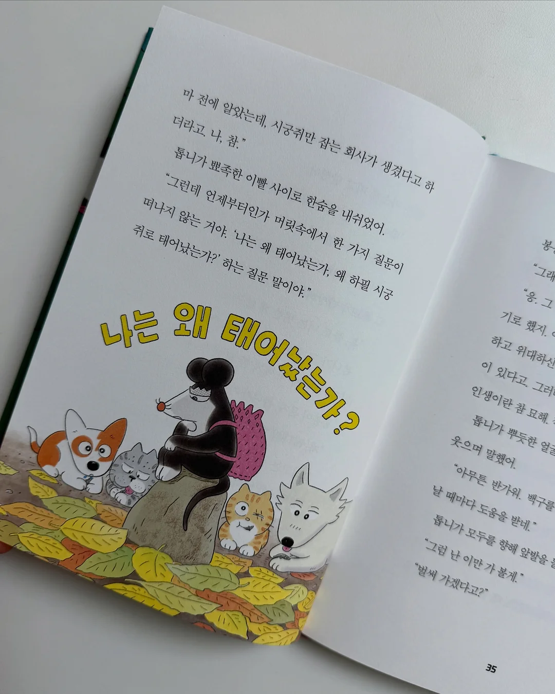 양말 5켤레 세트 4