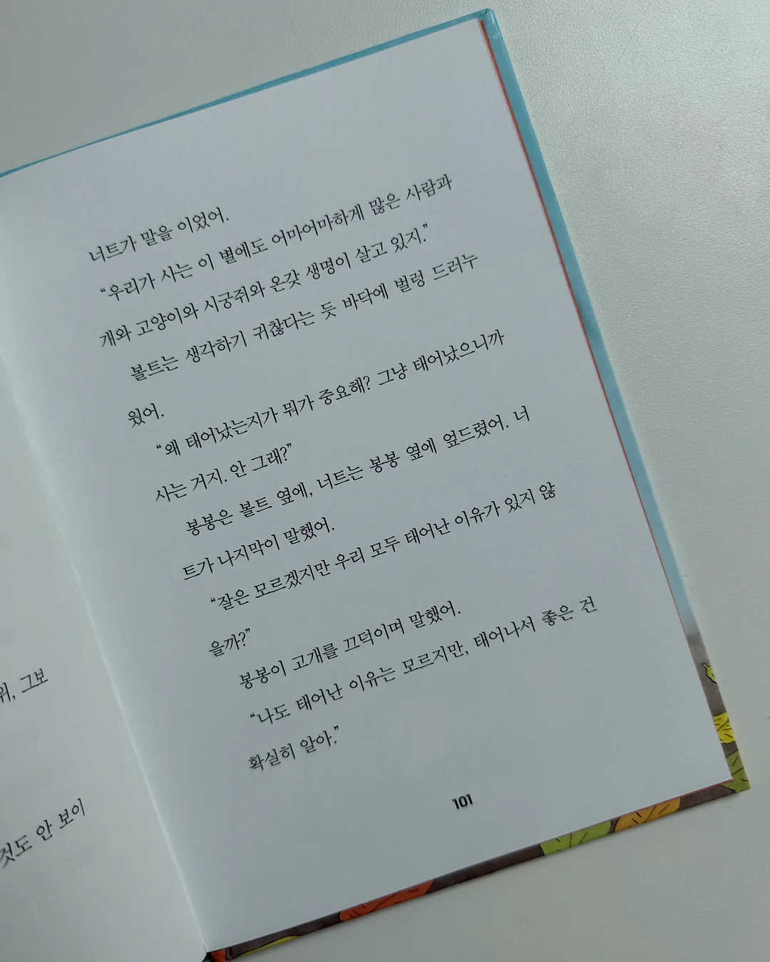 양말 5켤레 세트 5