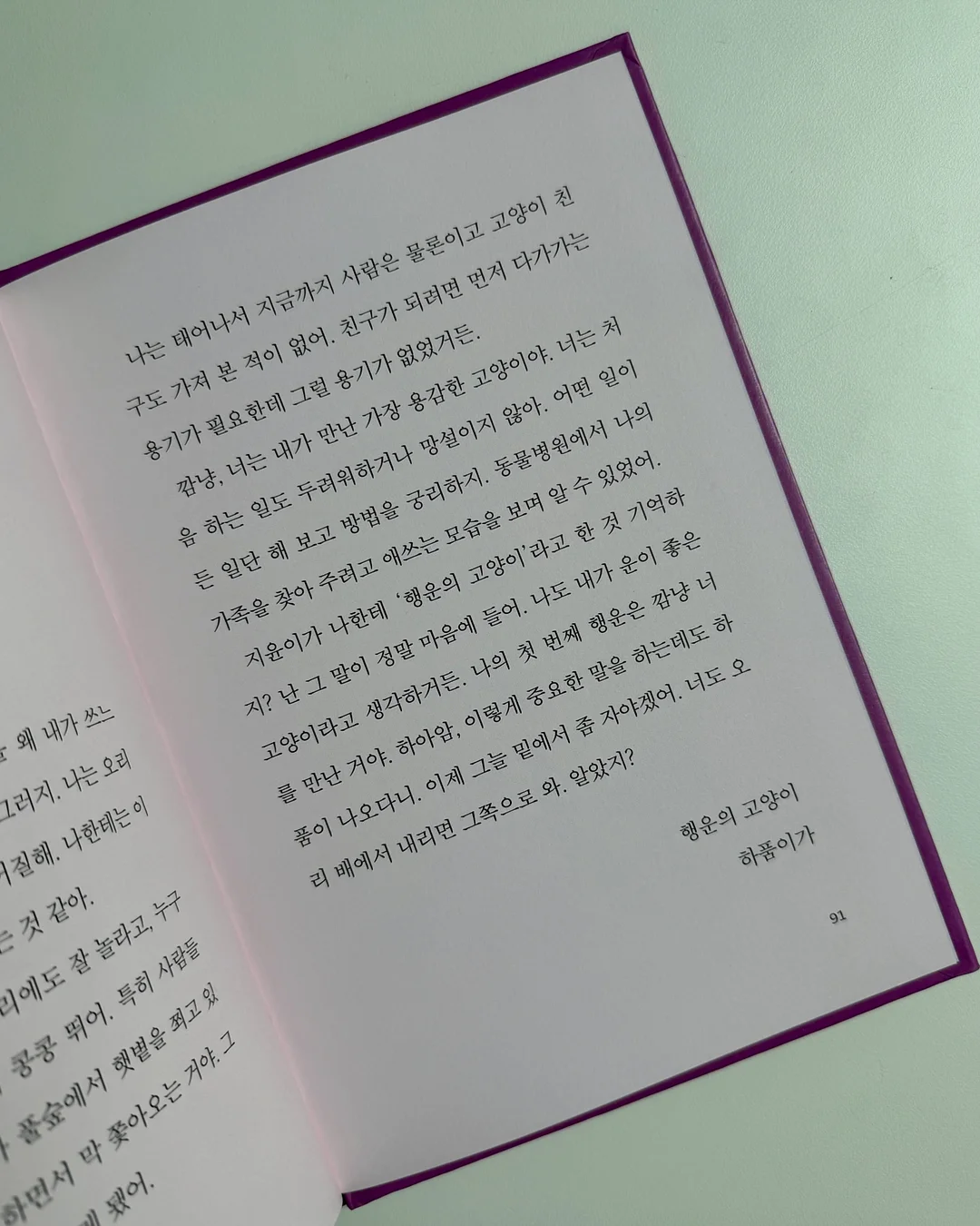양말 5켤레 세트 9