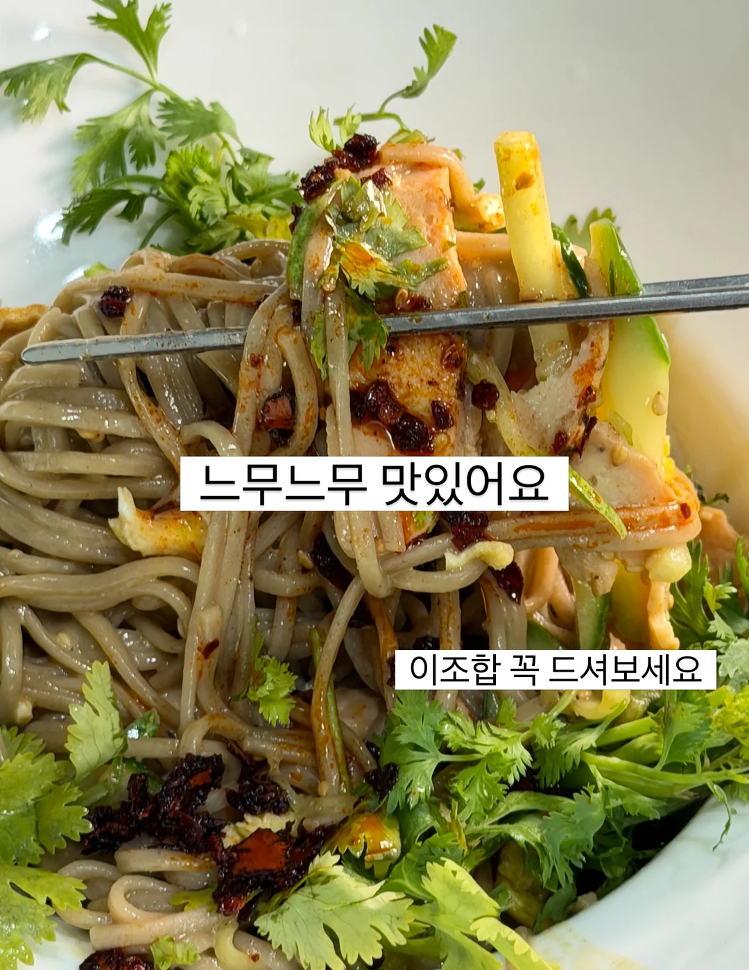 면역플러스 코프레시 2