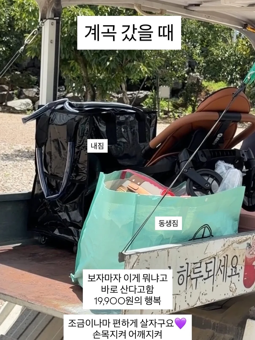 하이엔드 아비투스 12