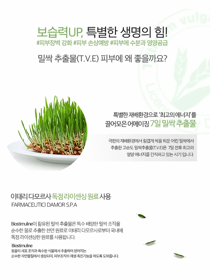 프라이빗룸 OTT 보드게임 무제한 플레이 12