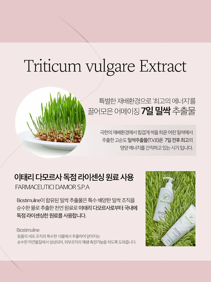 프라이빗룸 OTT 보드게임 무제한 플레이 9