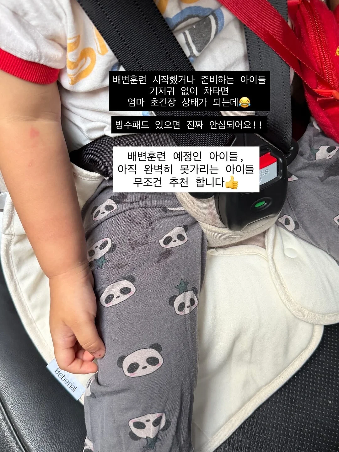 드리오 천연 발효매실 6
