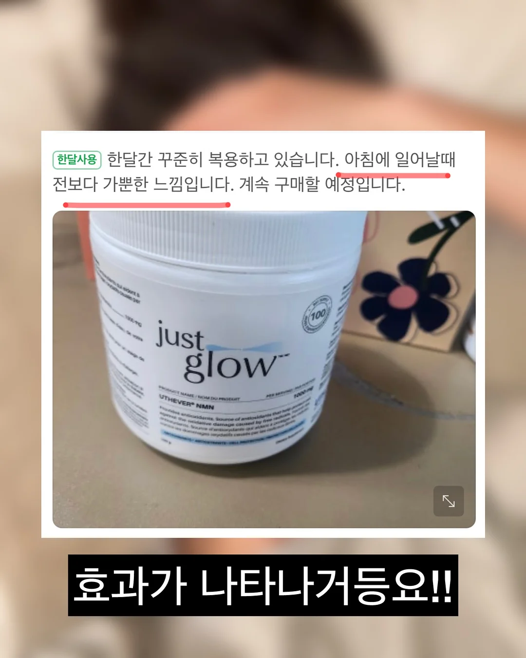 김치볶음밥 도시락 13