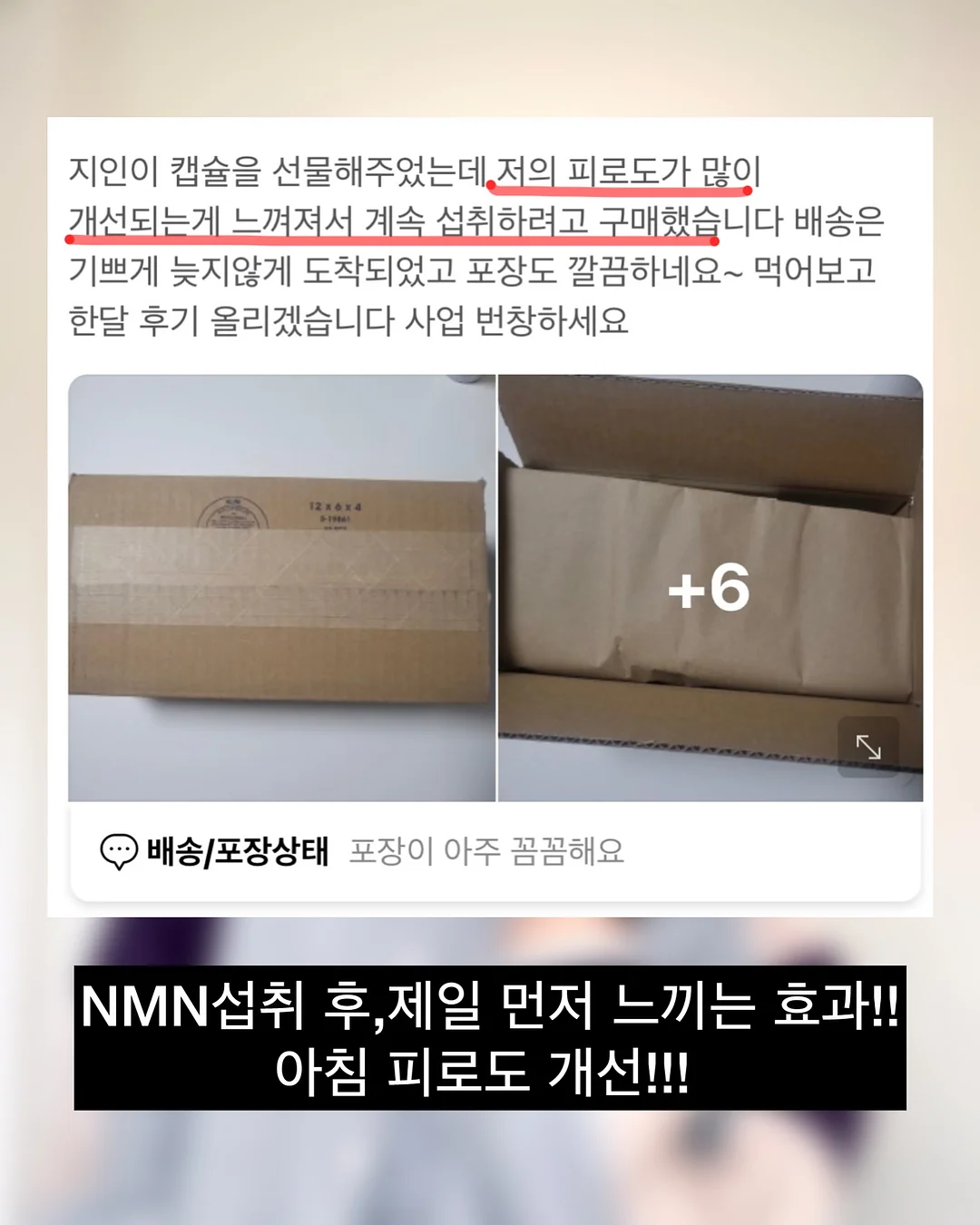 김치볶음밥 도시락 16