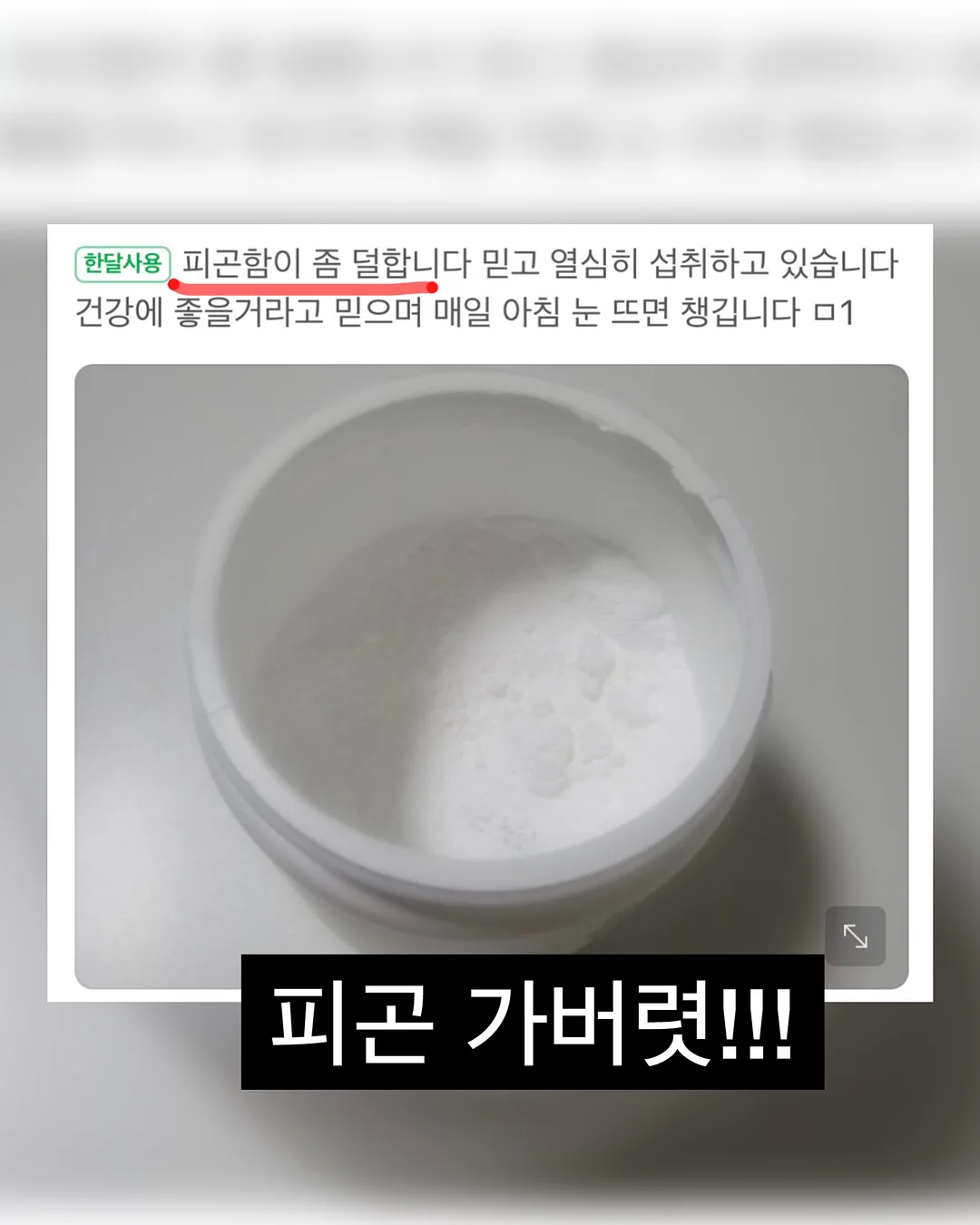 김치볶음밥 도시락 17