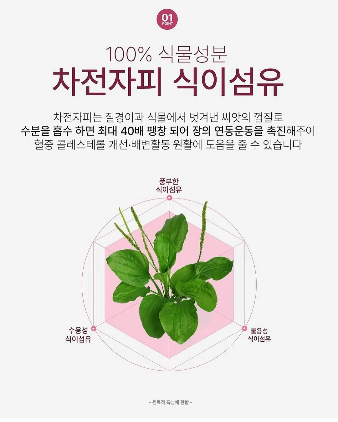 독채 펜션 11