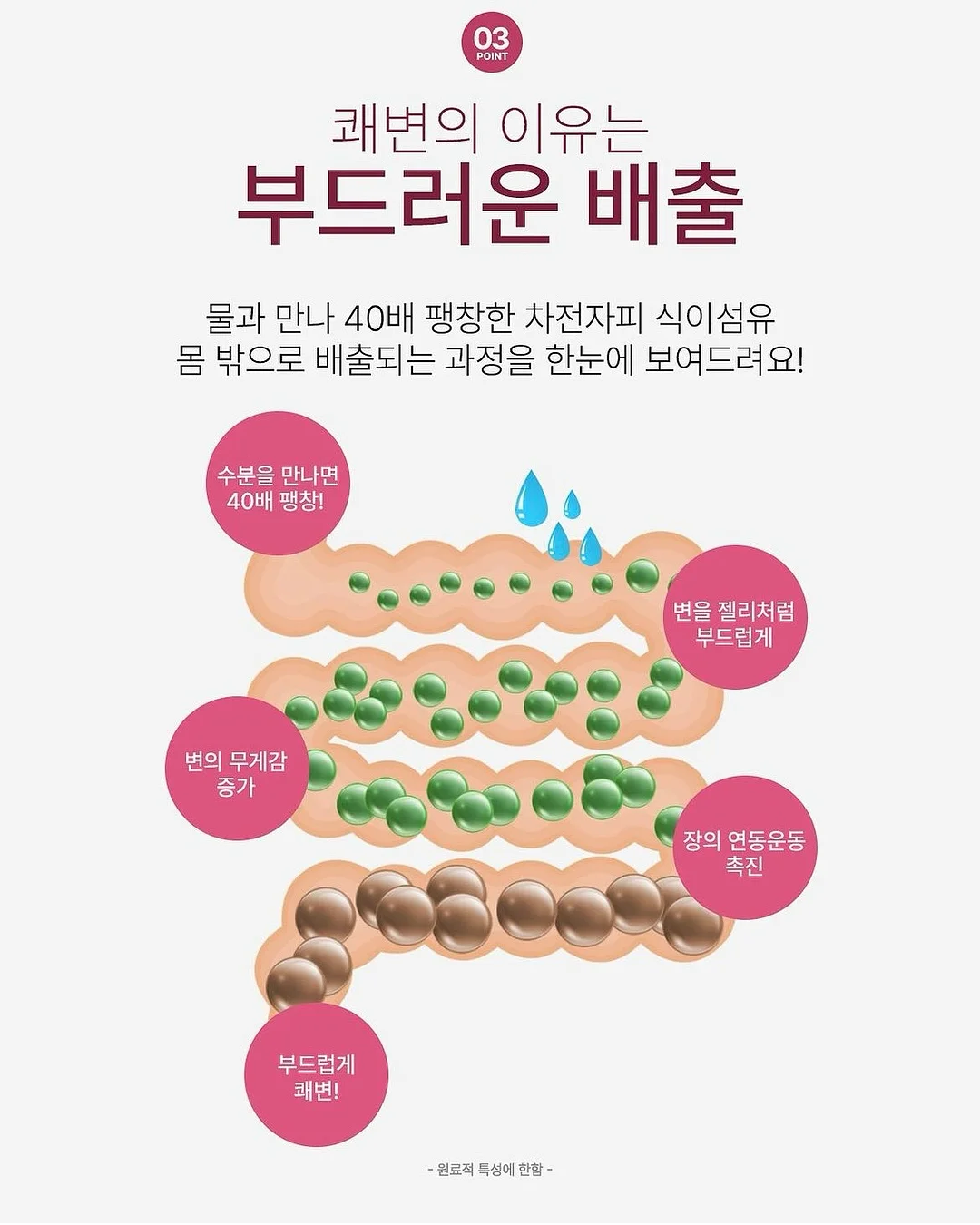 독채 펜션 13