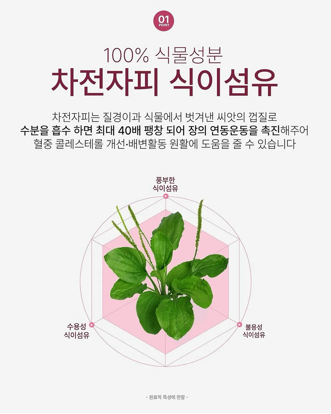 독채 펜션 7