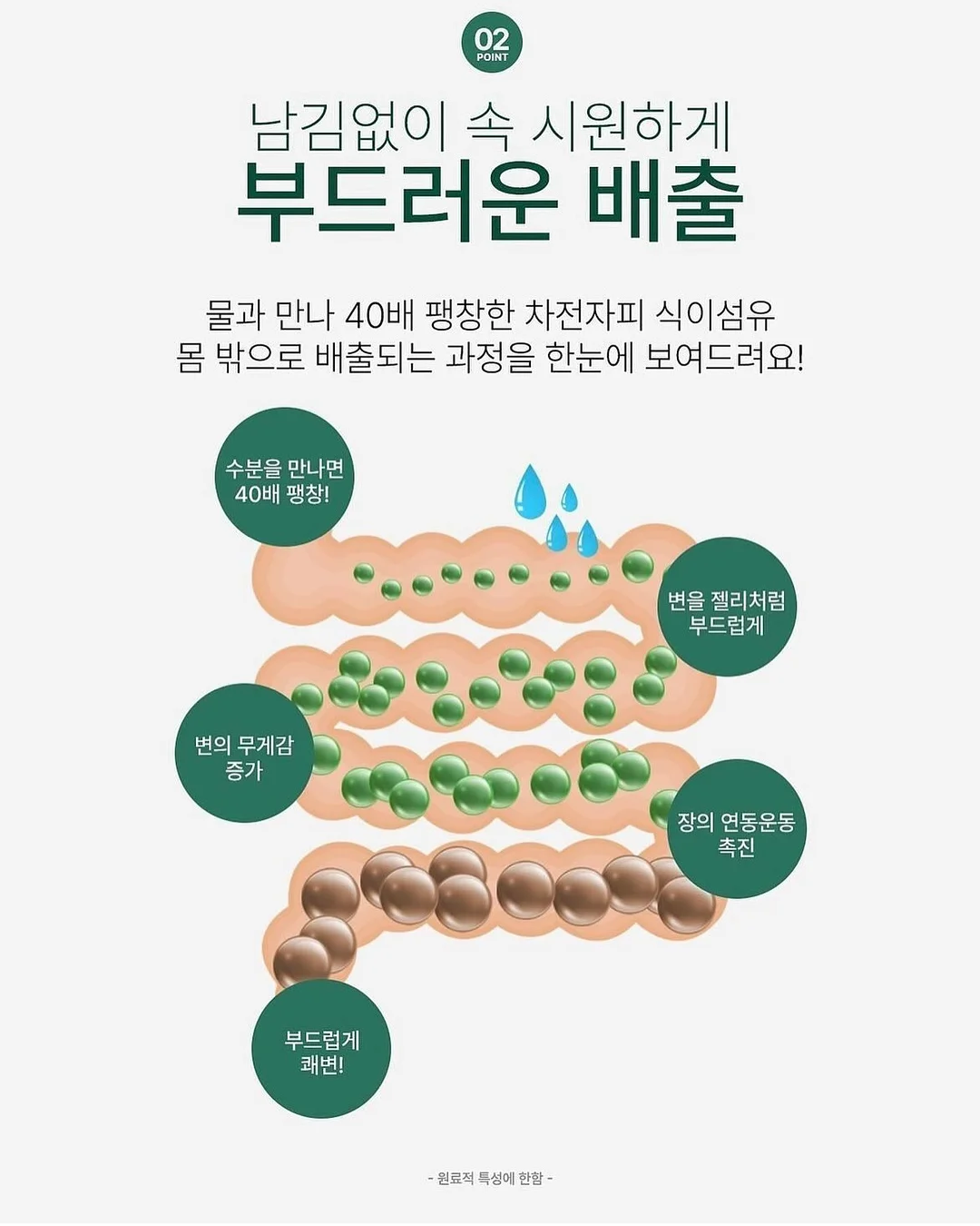 독채 펜션 8