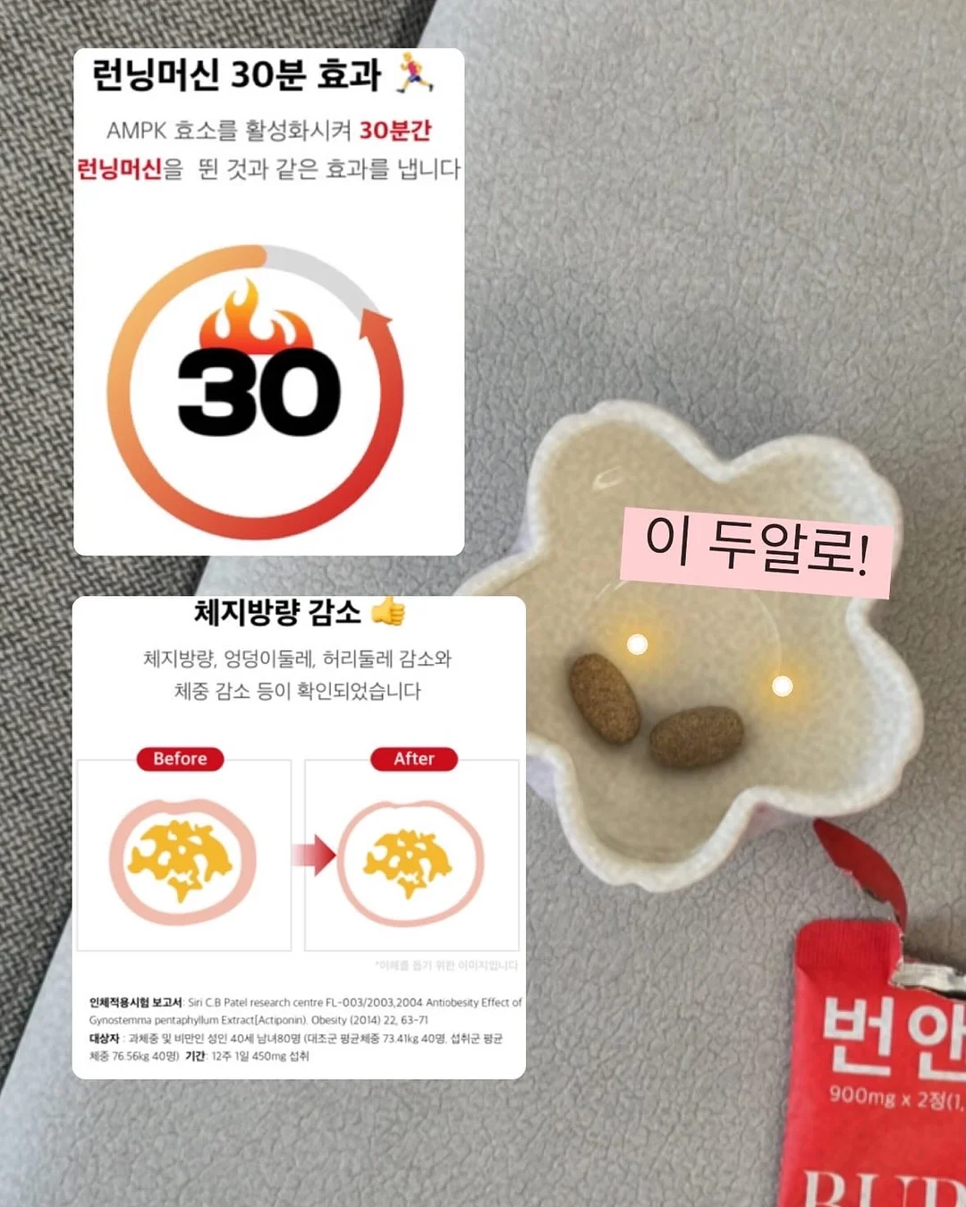 LUNCHBOX 001 & 002 보라 에디션 16