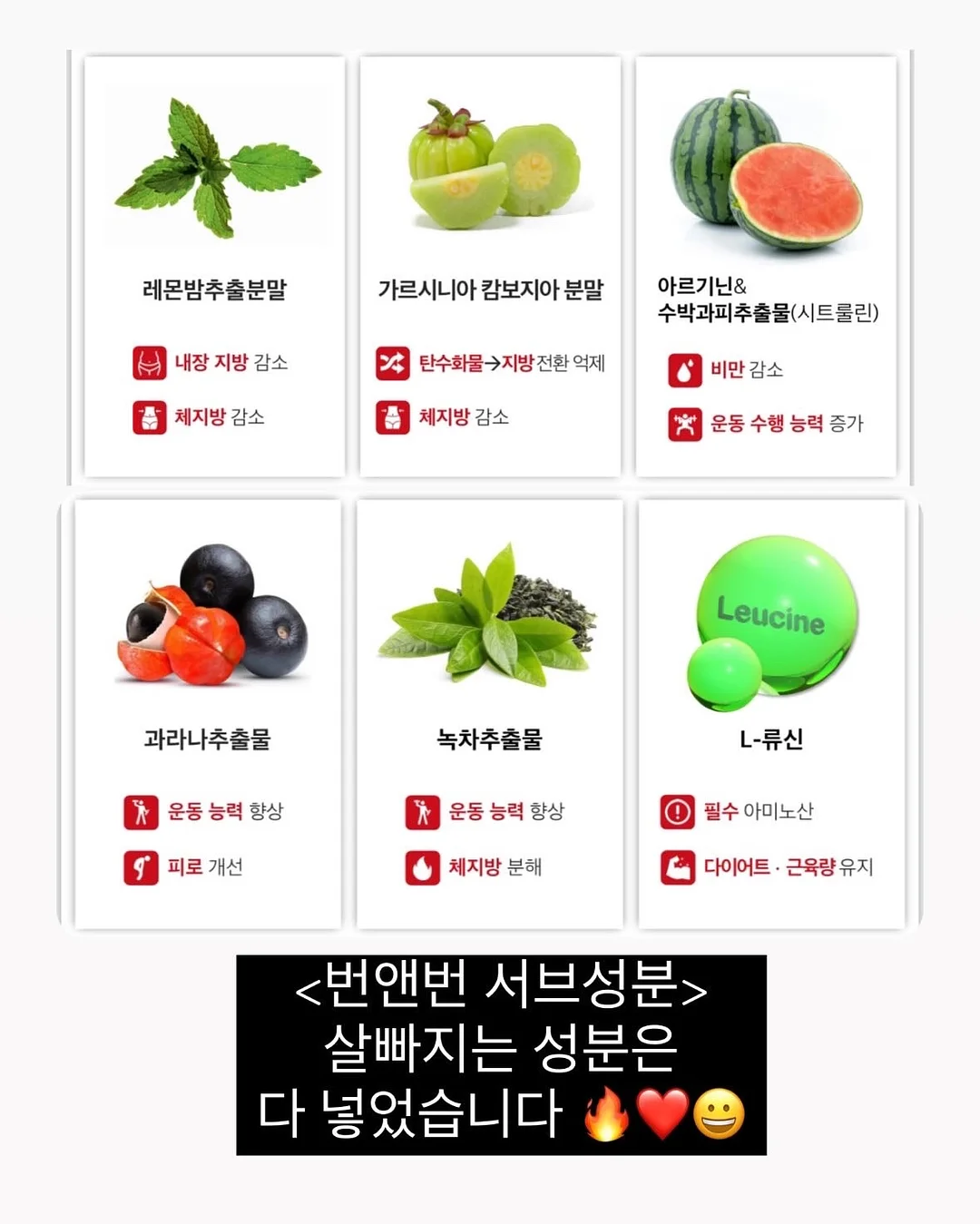 LUNCHBOX 001 & 002 보라 에디션 17