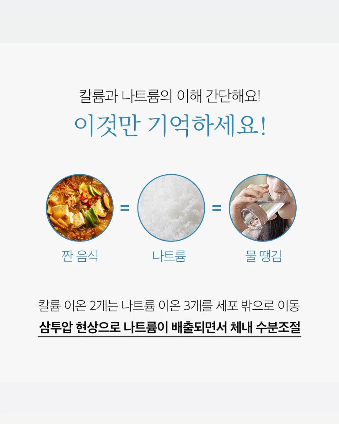 LUNCHBOX 001 & 002 보라 에디션 8