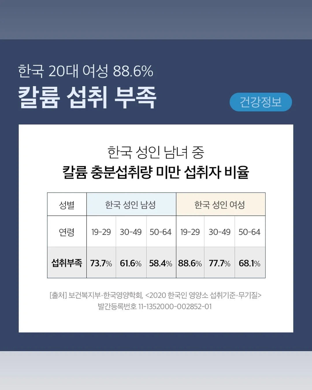 LUNCHBOX 001 & 002 보라 에디션 10