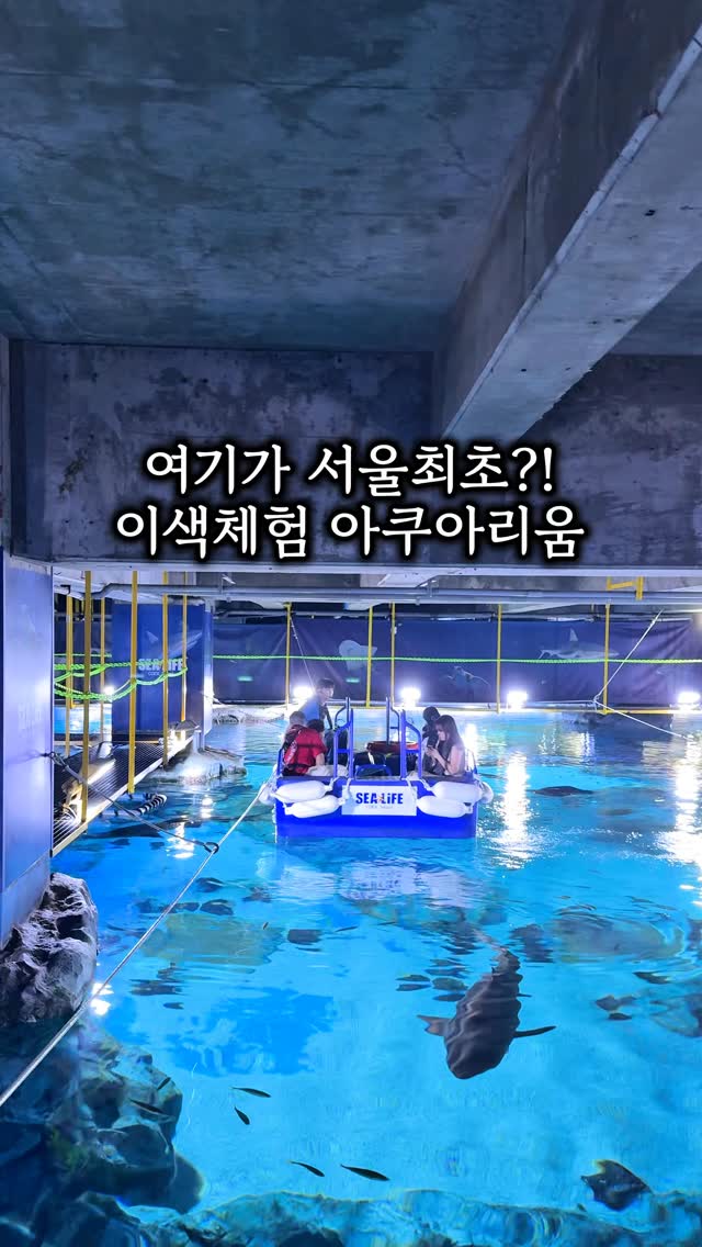 아이스 황치즈 쿠키
