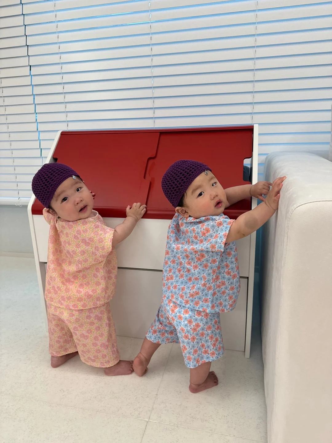 무항생제 새우 2종 2