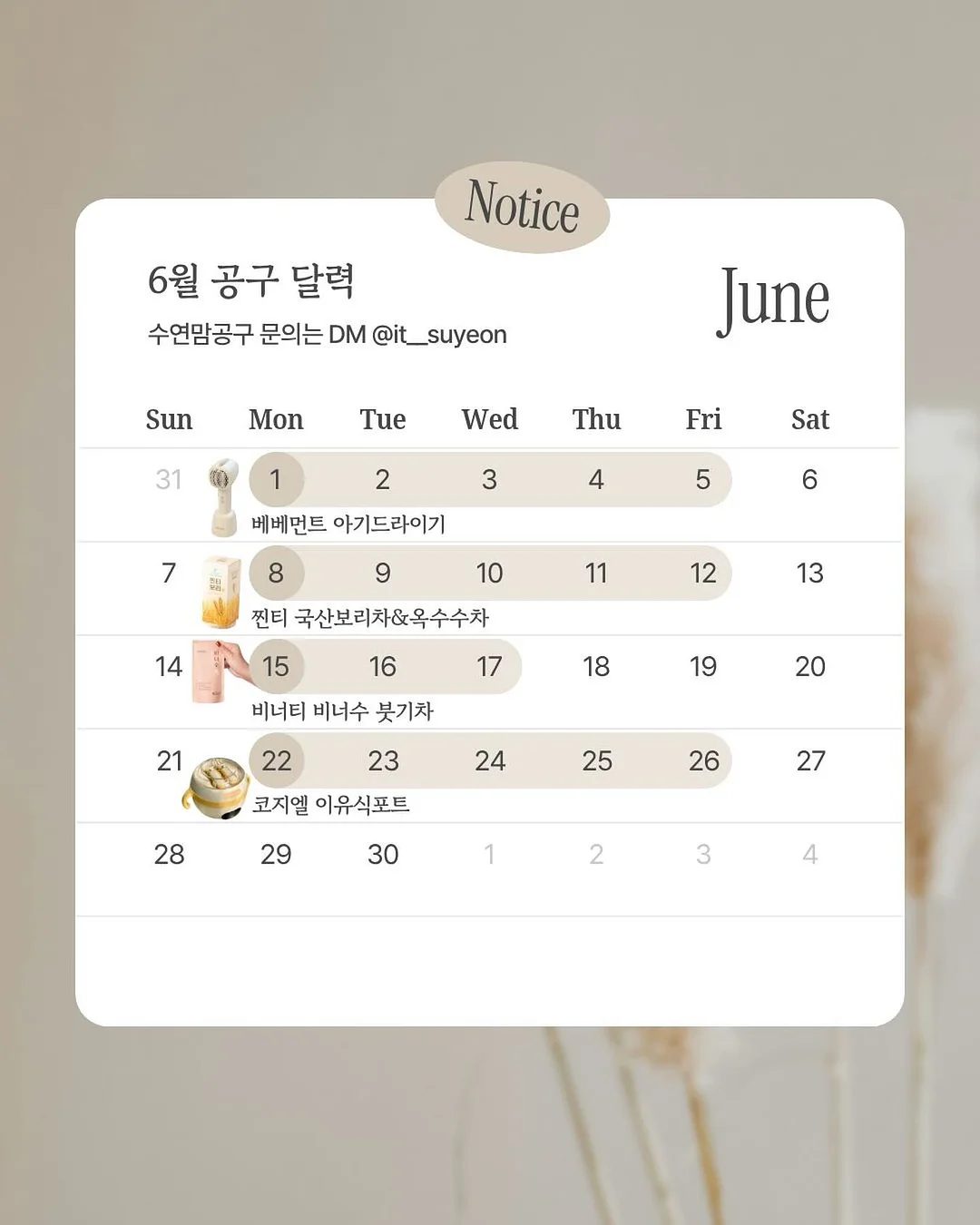 리플로우 제주 숙소