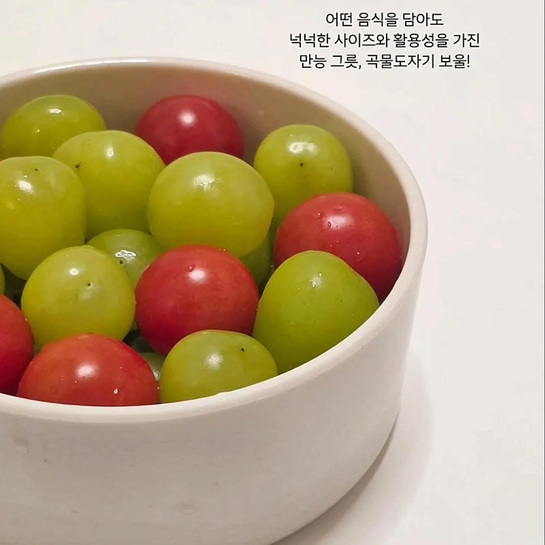 노카라 자켓 15