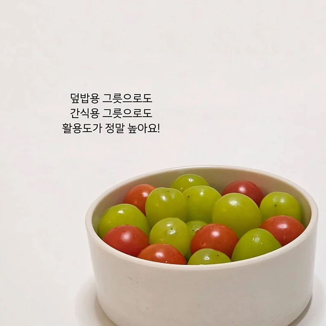 노카라 자켓 16