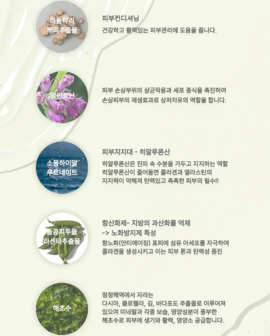 맨투맨 블라우스 12