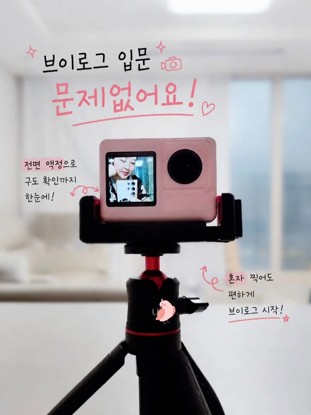 대부도 독채 실내풀빌라 3