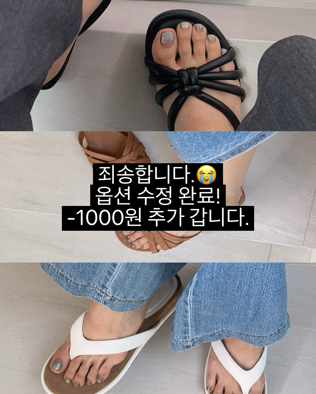 둥근 도마 1
