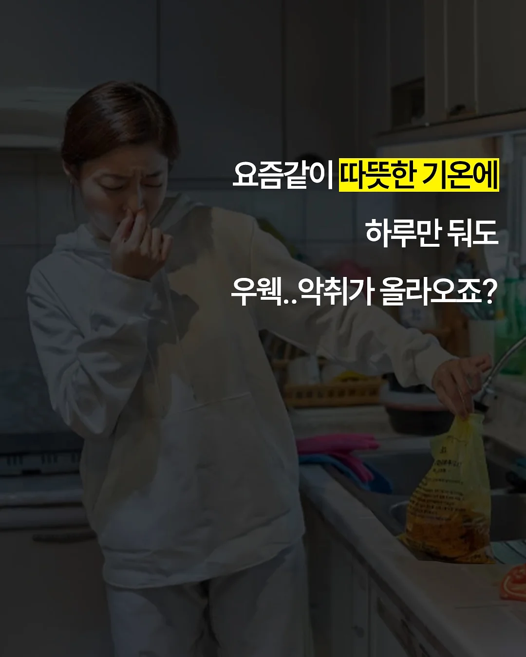 껍질통밀 사워도우 5