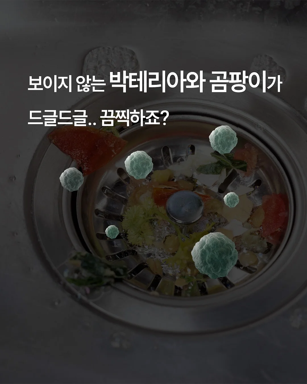 껍질통밀 사워도우 6