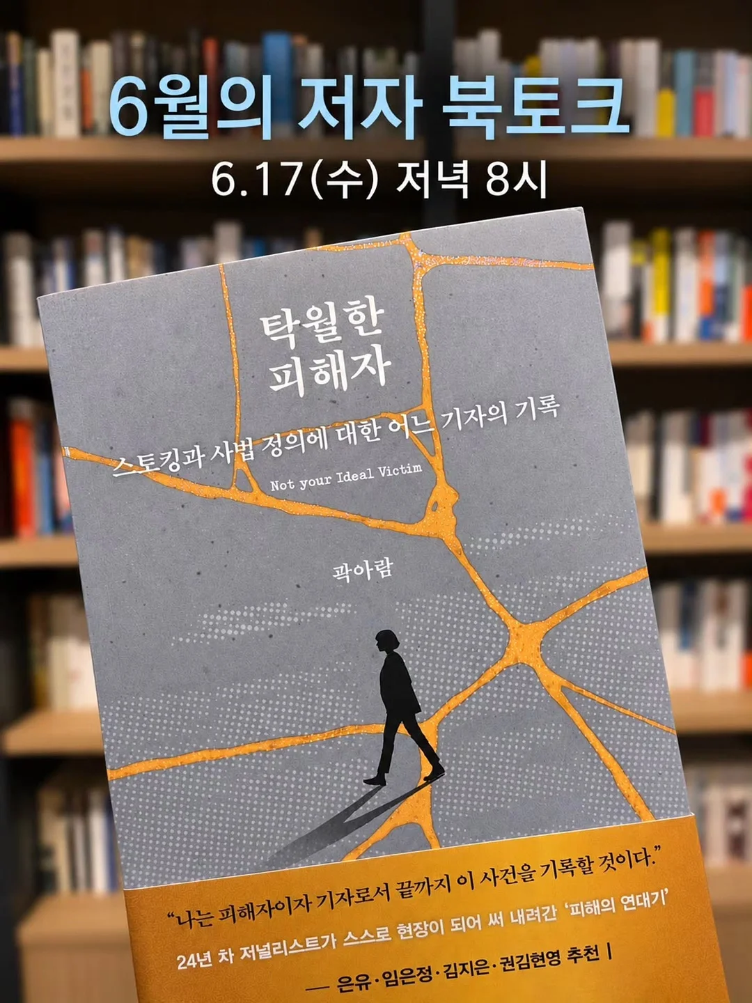 피카츄 삼각이 10종 1