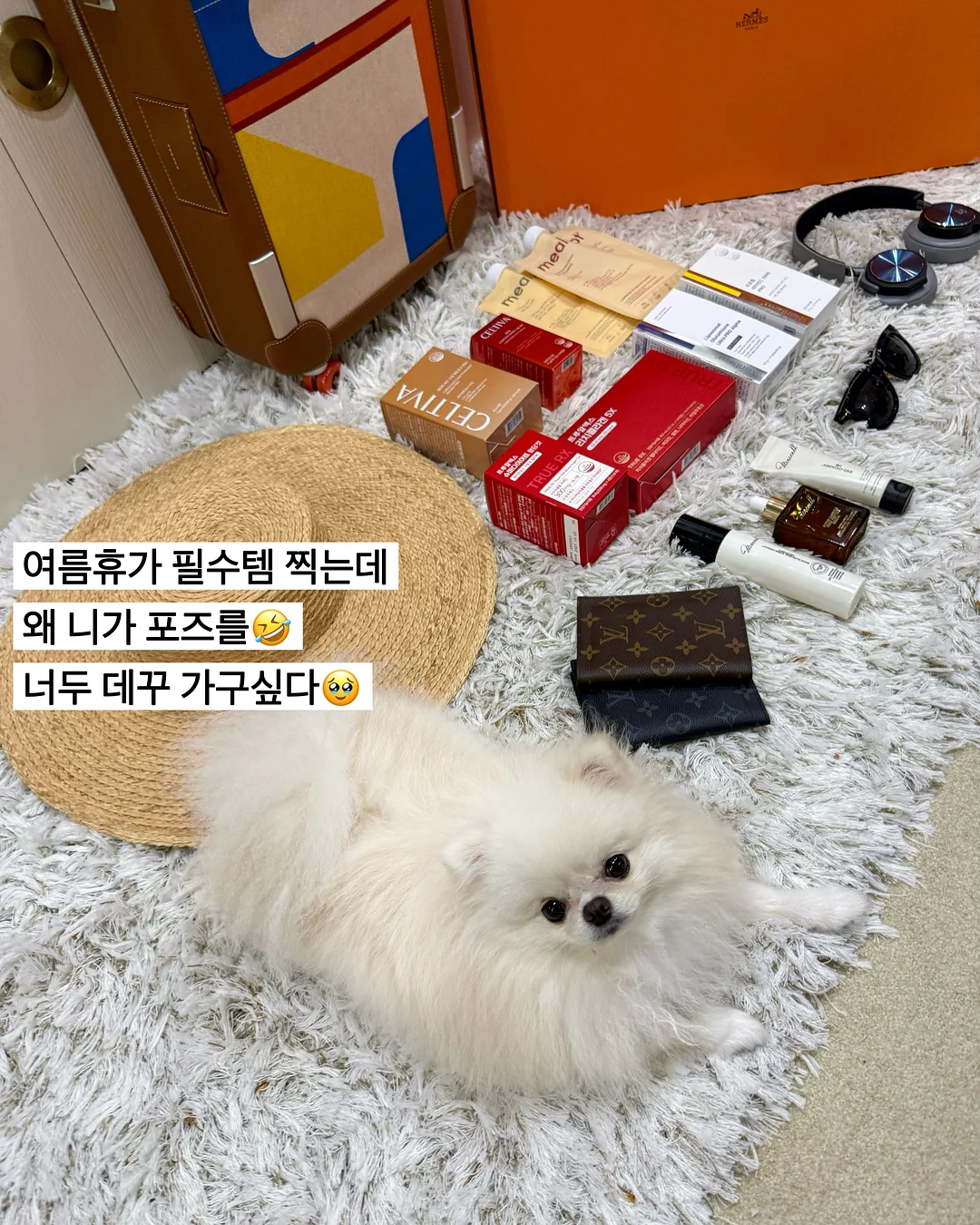 실사판 오리기 종이접기 5