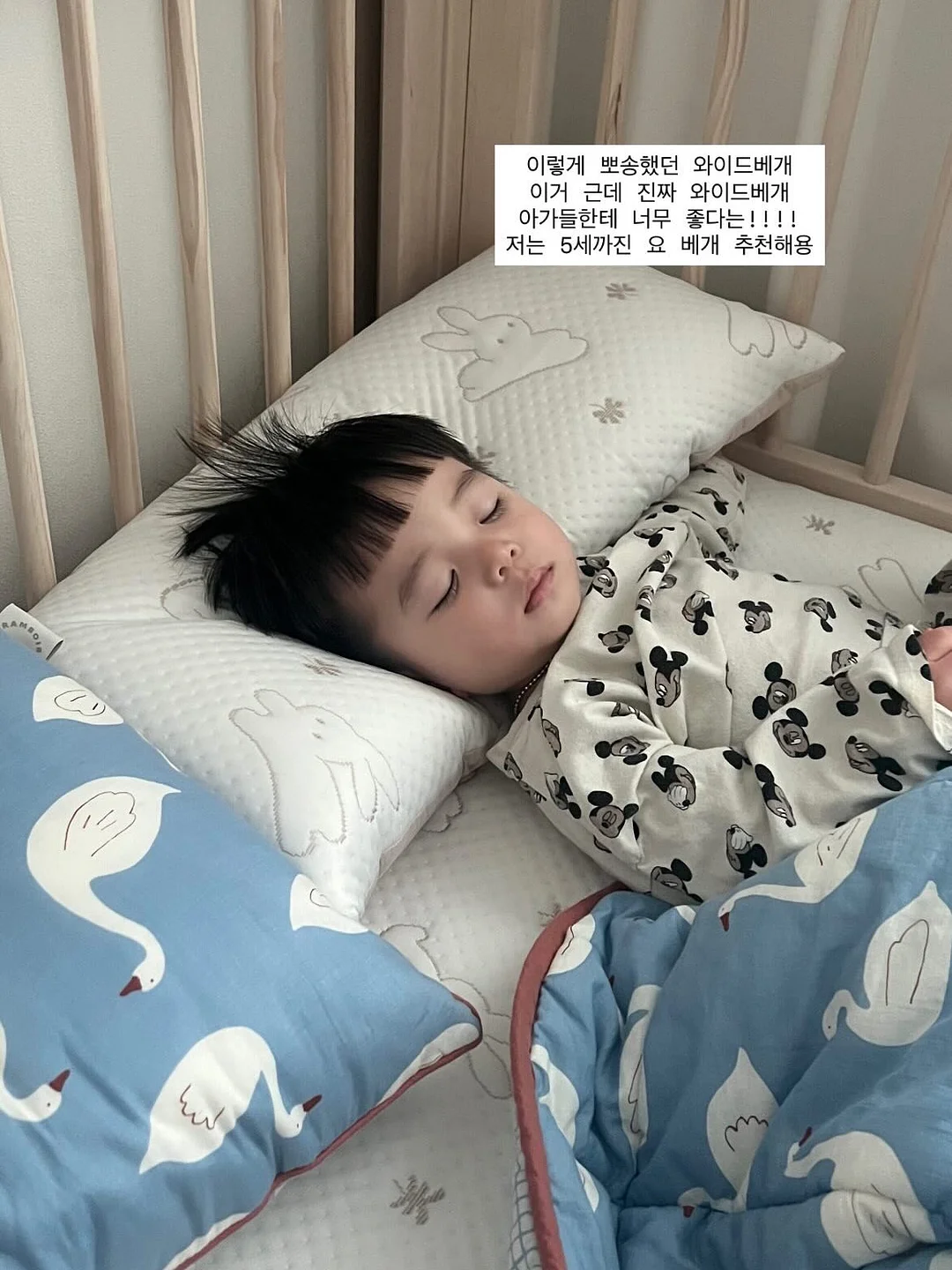 베이비장 15