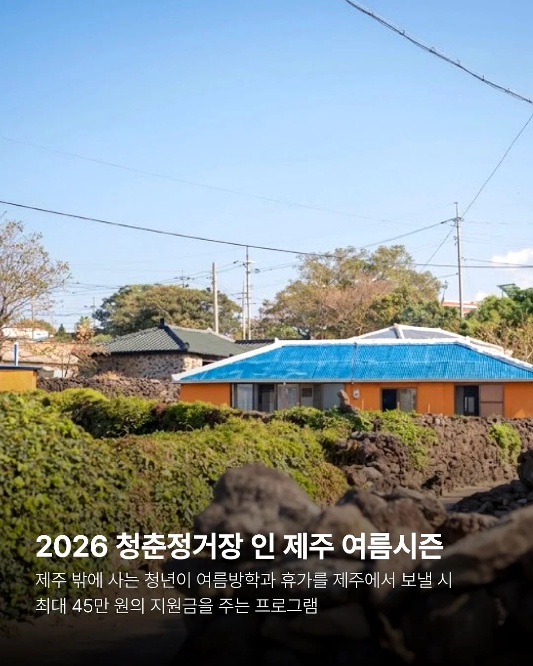 가르마 모류 교정법 2