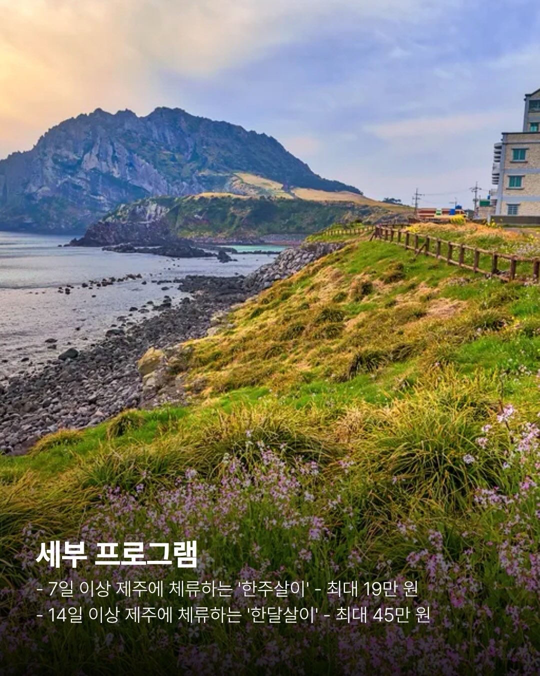 가르마 모류 교정법 3