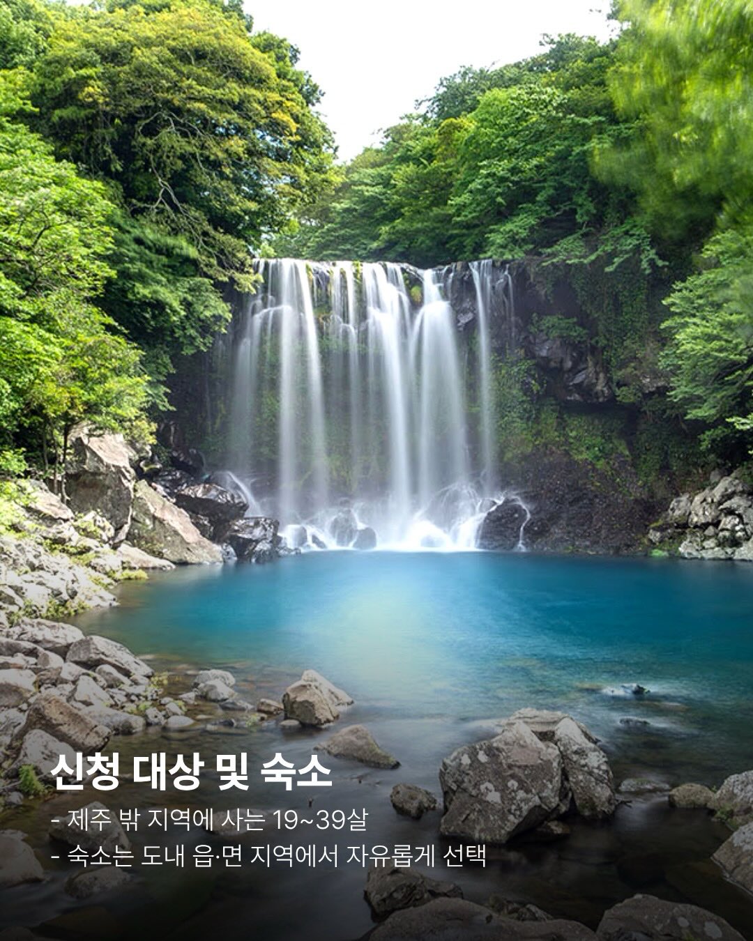 가르마 모류 교정법 4