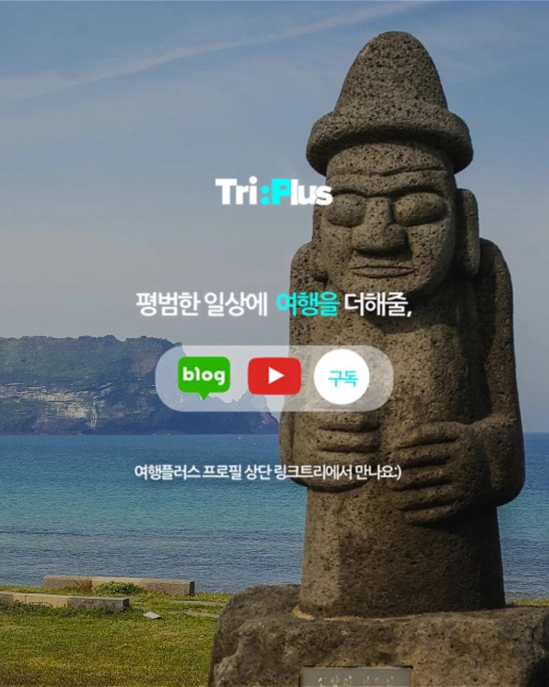 가르마 모류 교정법 6