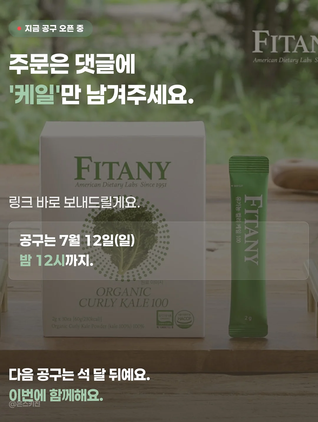 빗핀 12
