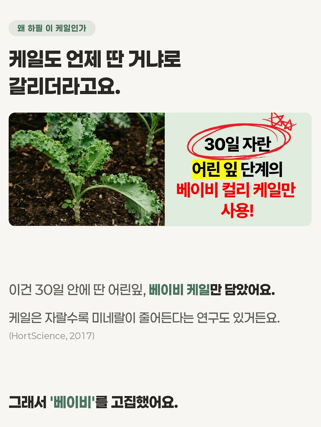 빗핀 3