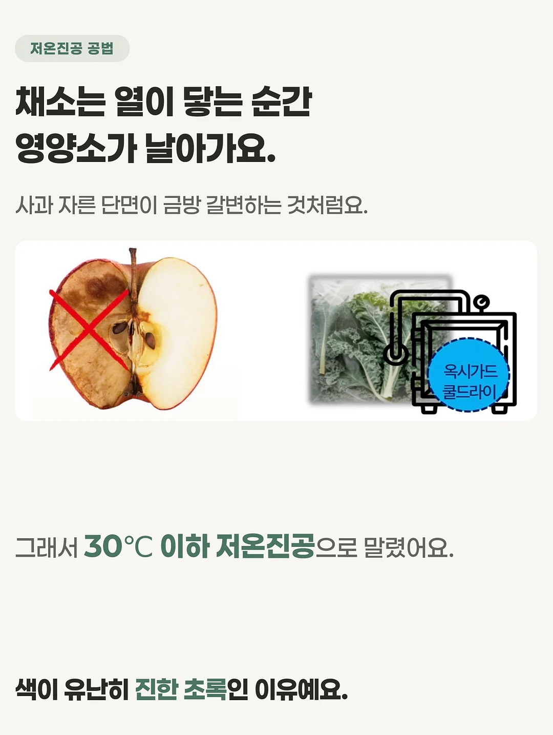 빗핀 5