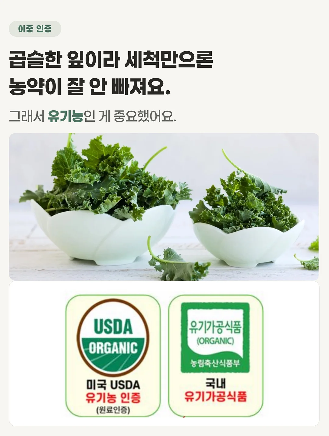 빗핀 6