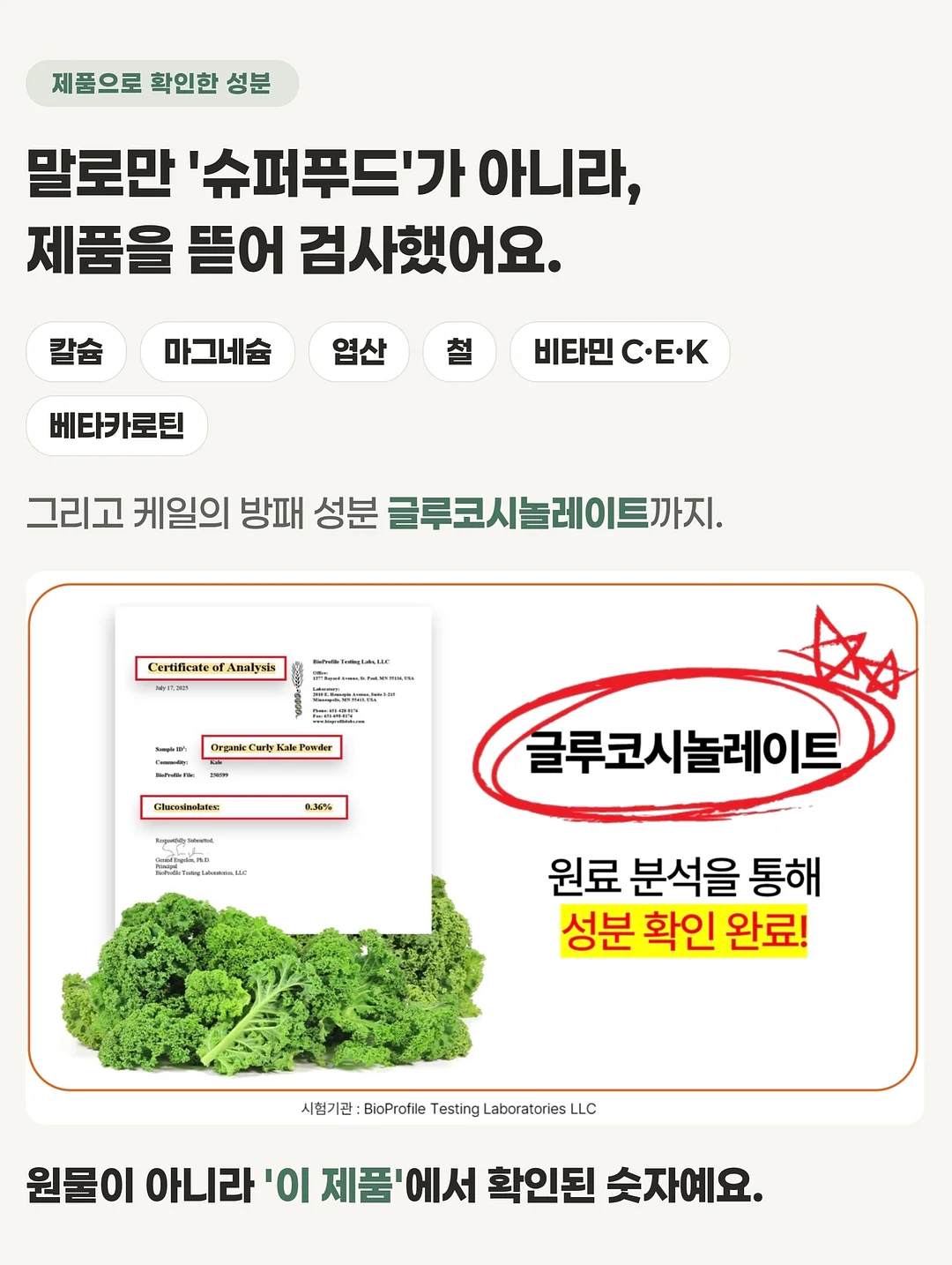 빗핀 8