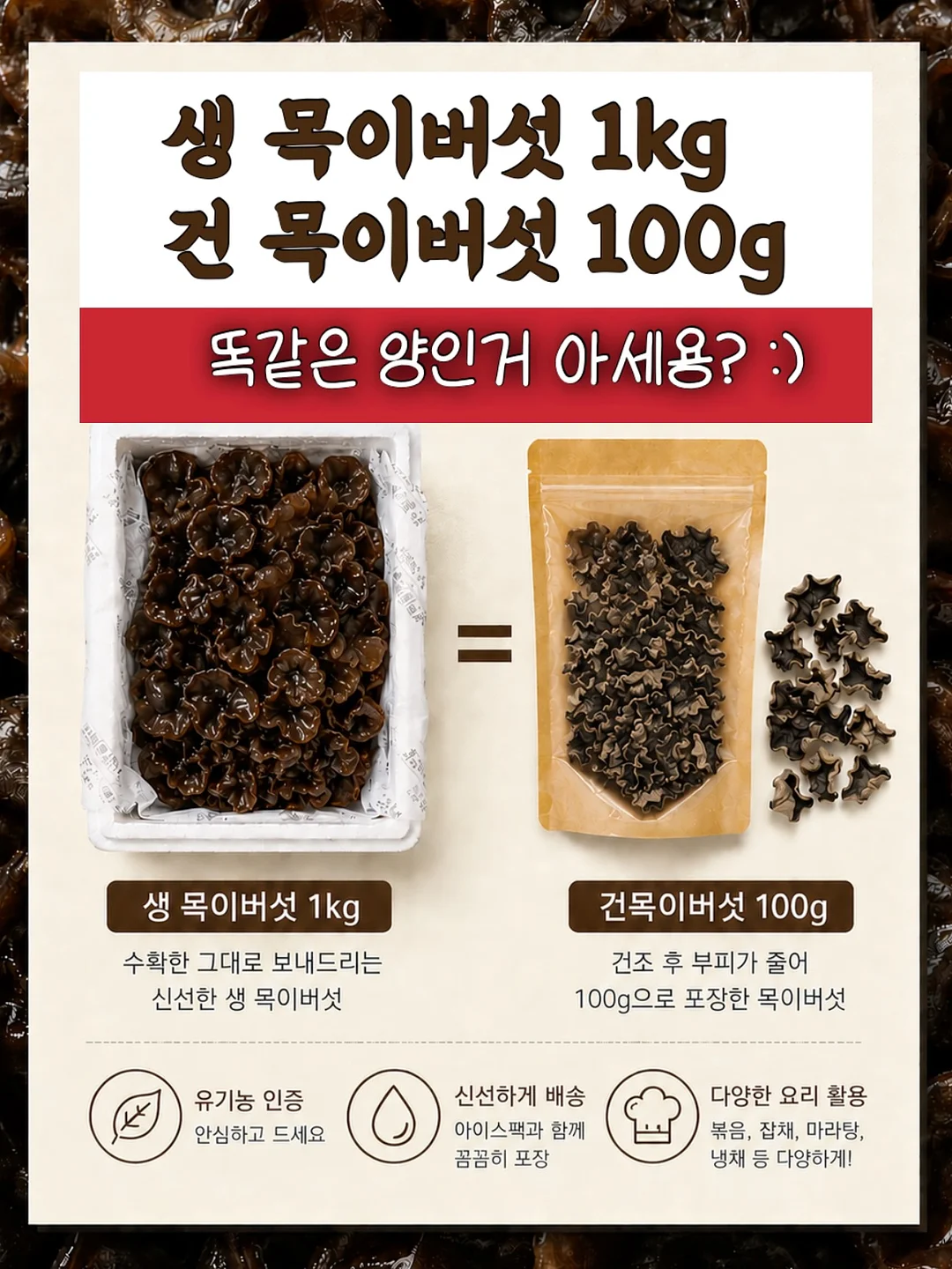초경량 양우산 3