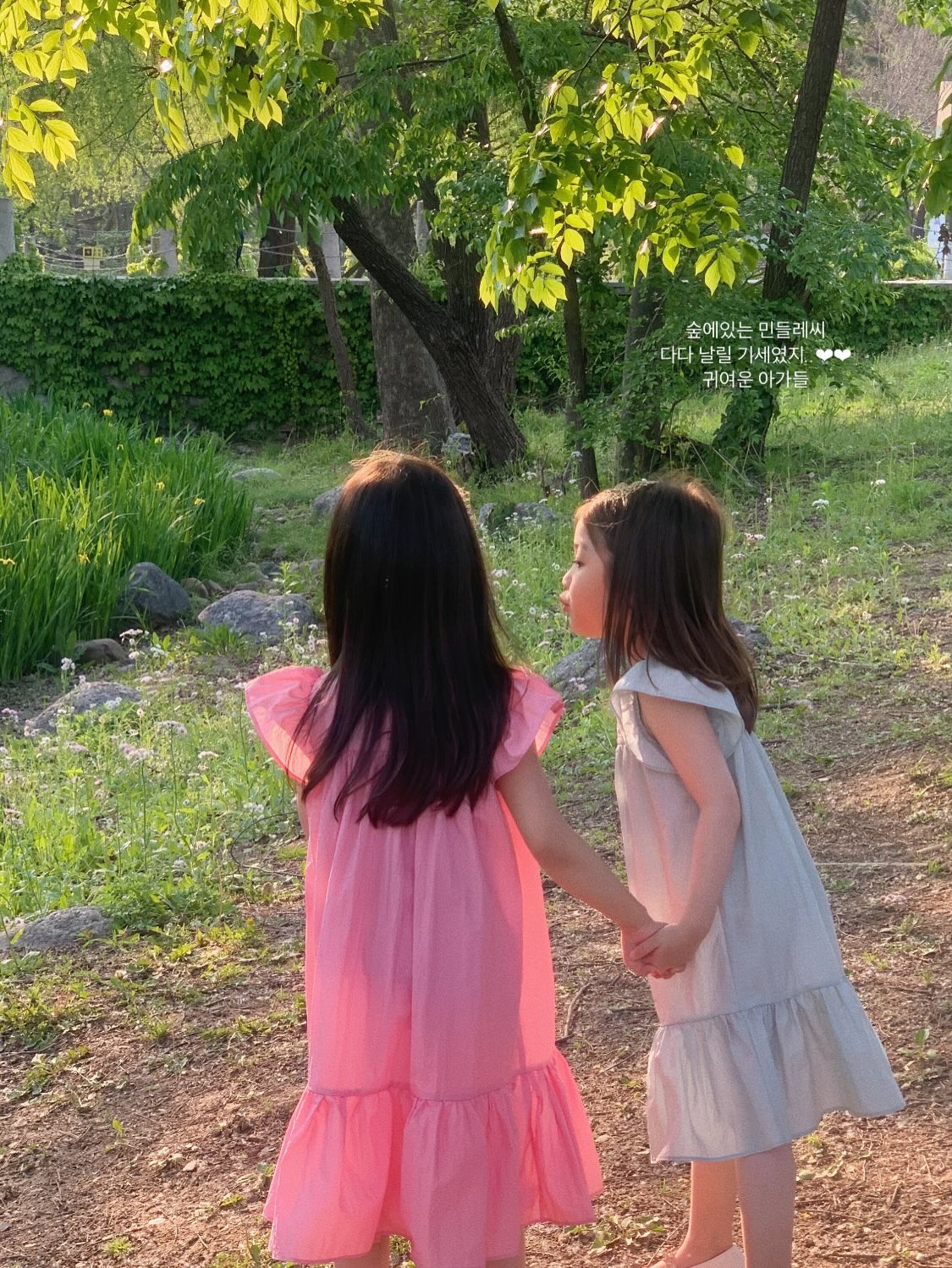 가디건 5